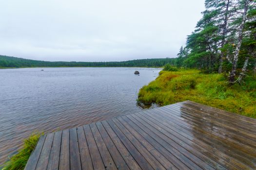 Views of the Benjie Lake Trail, On the plateau at the top of French Mountain, in Cape Breton Highlands National Park, Nova Scotia, Canada