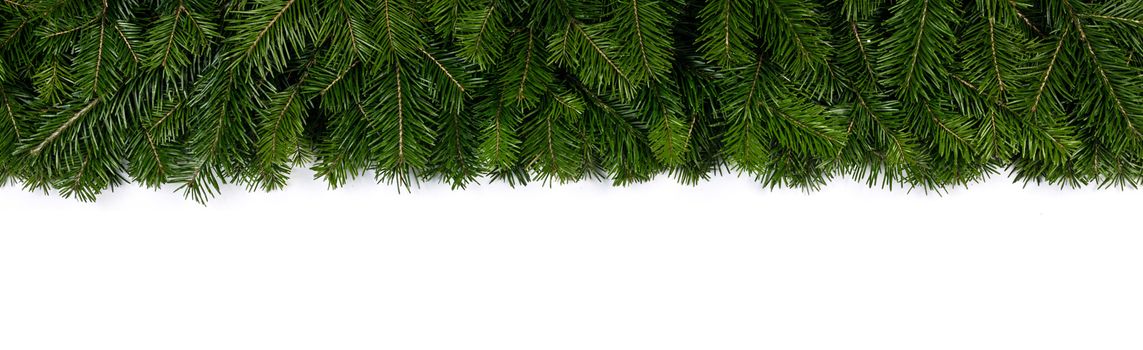 Christmas fir tree branch border fame isolated on white background with copy space for text