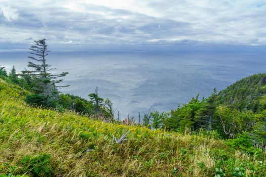 Views of the skyline trail, in Cape Breton Highlands National Park, Nova Scotia, Canada