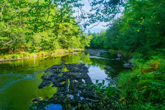 View of the Mersey river, in Kejimkujik National Park, Nova Scotia, Canada