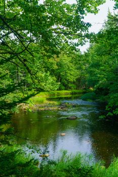 View of the Mersey river, in Kejimkujik National Park, Nova Scotia, Canada