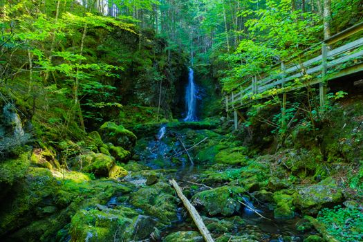 Views along the Dickson Falls trail, in Fundy National Park, New Brunswick, Canada