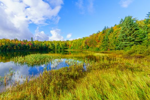 View of Lac Coutu, with fall foliage colors in Saint-Donat, Laurentian Mountains, Quebec, Canada