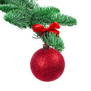 Christmas evergreen spruce noble fir tree and red glitter glass bauble ball isolated on white background