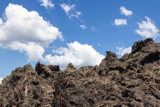 Manure. Pile of dung in the countryside. Stunning sky on background.