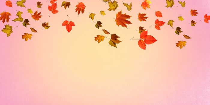 Falling autumn leaves natural coloured background