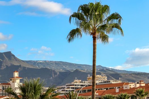 View on Playa de Las Americas on canary island tenerife with plam tree in front and mountain range in the background