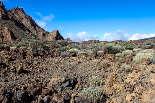 Landscape around the Teide - the highest mountain of spain