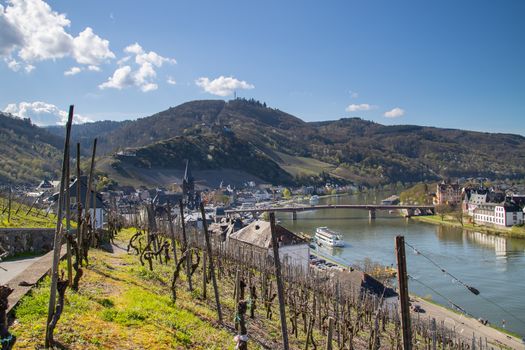 Vineyards on the moselle valley near Bernkastel-Kues, Germany on a sunny day with blue sky and white clouds