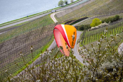 Flying paraglider over the valley of river Moselle and over vineyards