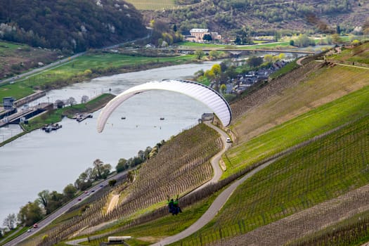 Flying paraglider over the valley of river Moselle and over vineyards