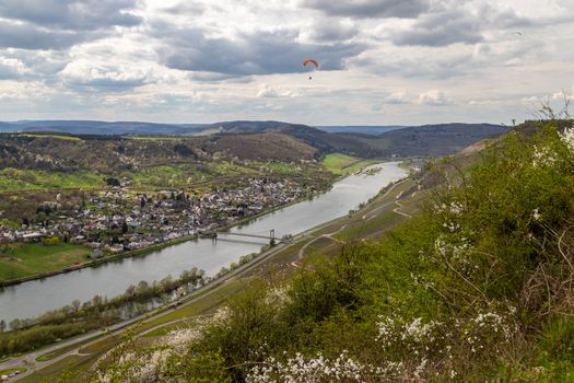 The wine-village Wehlen, a district of Bernkastel-Kues with the only rope bridge at the mosel in spring with blooming plants
