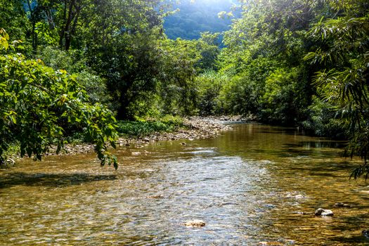 Mountain river flowing in rainforest at Nakornnayok province, Thailand.