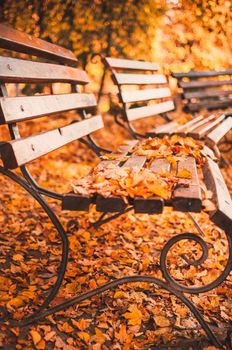 empty bench in the autumn park is strewn with red and yellow dry leaves. Golden autumn concept. relaxing place for reflection and contemplation.