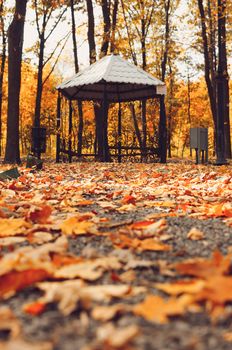 Autumn sunny landscape. The road in the park leads to the gazebo. Autumn park of trees and fallen autumn leaves on the ground in the park on a sunny October day. template for design.Copy space.
