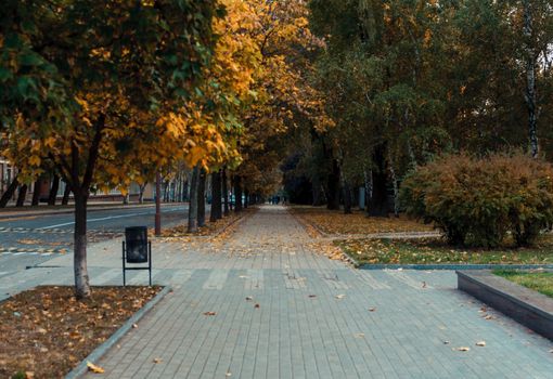 Autumn sunny landscape. Road in the park with benches. Autumn park of trees and fallen autumn leaves on the ground in the park on a sunny October day.template for design.