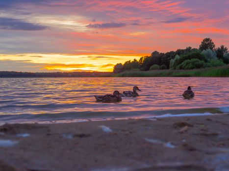 Panoramic view of evening sunset lake with green trees, mist and tranquil reflection. Estonia, Harku. Sunset over lake