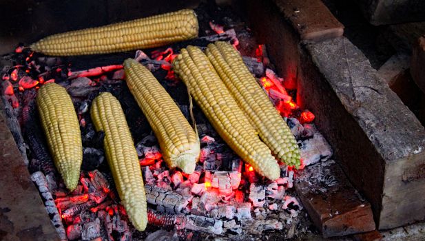 Six corn on the cob grilled in the traditional way. Grilled corn. Zavidovici, Bosnia and Herzegovina.