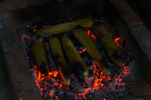 Roasting corn on the cob at night on summer days. Zavidovici, Bosnia and Herzegovina.