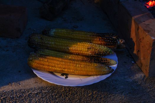Burnt corn on the cob on a plate. Roasted corn on the cob on a plate. Zavidovici, Bosnia and Herzegovina.