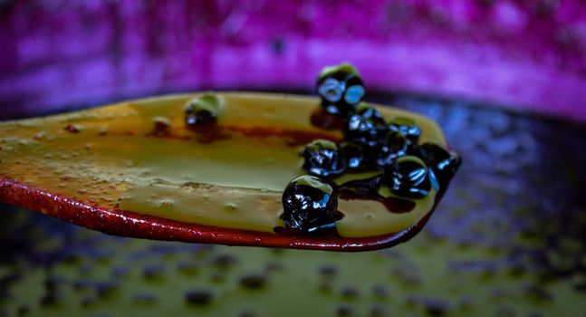 Chokeberry berries on a wooden cooking spoon over a pot full of chokeberry jam. Zavidovici, Bosnia and Herzegovina.