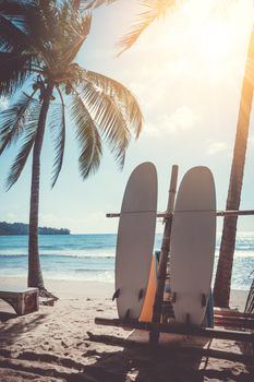 Surfboards beside coconut trees at summer beach with sun light.