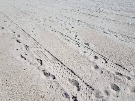 tire tracks and foot prints on sand on combed beach