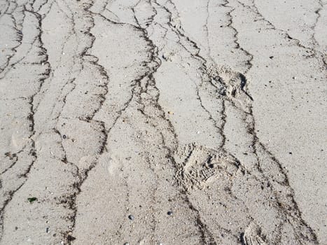 lines of seaweed and shells in sand on beach at coast