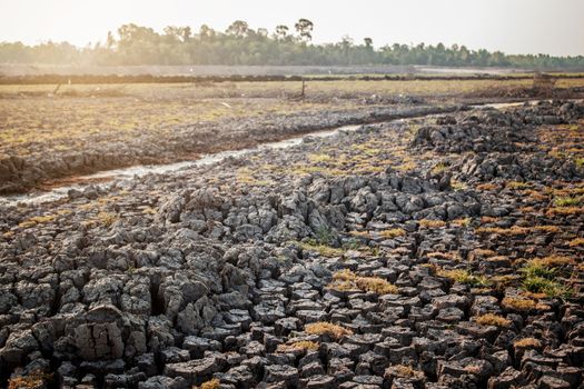 Arid soil in field with the sunlight.