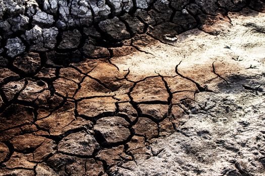 Arid soil of pond with texture background.