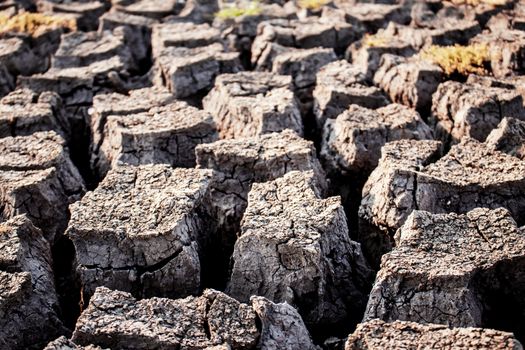 Arid soil of cracked with texture background.