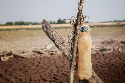 Old of bottle on wood in pond with arid soil.
