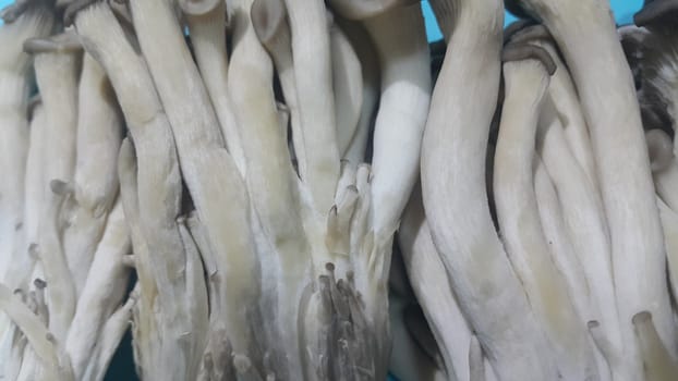 Closeup view of big pile of fresh harvested mushrooms. Food background of mushrooms in market for sale. A Vegetables background