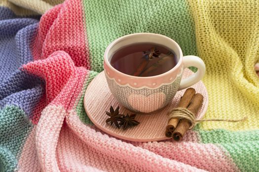 Winter tea with spices, cinnamon and anise on colorful knitted plaid