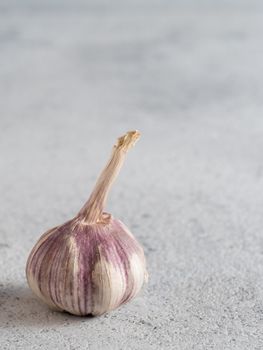 Garlic Bulb on gray cement background. Garlic with copy space