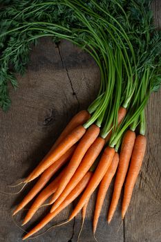 Fresh organic carrots on antique wooden table. Rustic kitchen concept