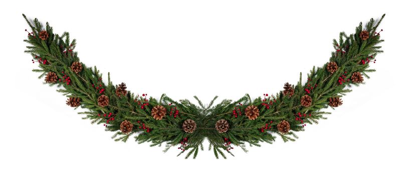 Winter and Christmas fir wreath composition with holly berries and pine cones isolated on white background with copy space