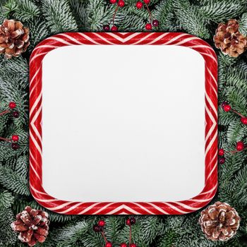 Christmas design copmosition of candy cane striped border frame noble fir tree branch and red holly berries pine cones isolated on white background with copy space for text