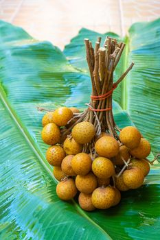 A bunch of longan branches on a background of green banana leaf. Vitamins, fruits, healthy foods.