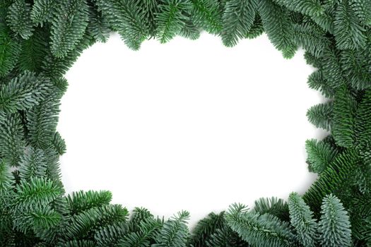 Traditional green christmas tree noble fir border frame isolated on white background copy space for text