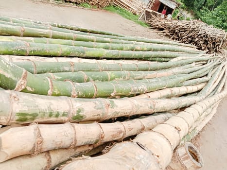 bamboo stock on bamboo market for sell