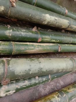 green colored bamboo cut peas stock background