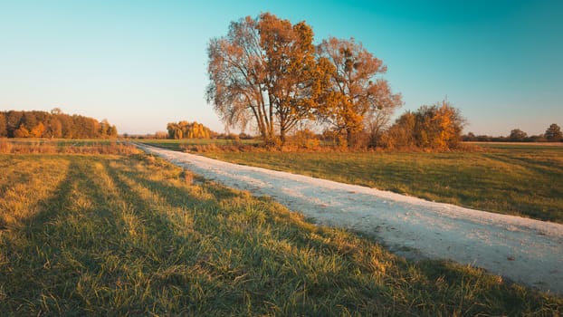 A dirt road through meadows and autumn trees, October view 16:9 format