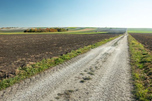 Long dirt road through fields, group of trees, October rural landscape