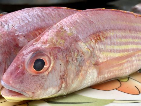 Closeup view of red snapper fish kept in the plate at market for sale