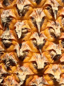 Closeup view of texture design in the pineapple fruit with sunlight background