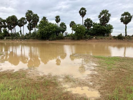 Beautiful reflection of trees grown in the sides of a small lake in Tamilnadu