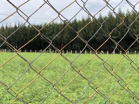 Metallic wire fence with beautiful scenic natural greenery view in the background