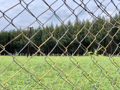 Metallic wire fence with beautiful scenic natural greenery view in the background
