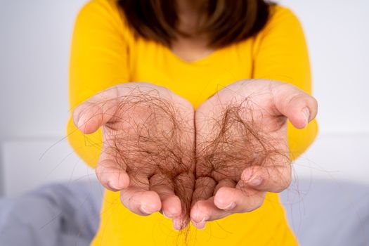 Hair fall problem, closeup hand holding problem hair. Healthcare medical or daily life concept.